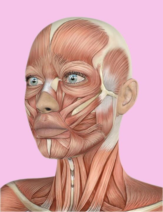 Human facials